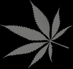 small cannabis leaf